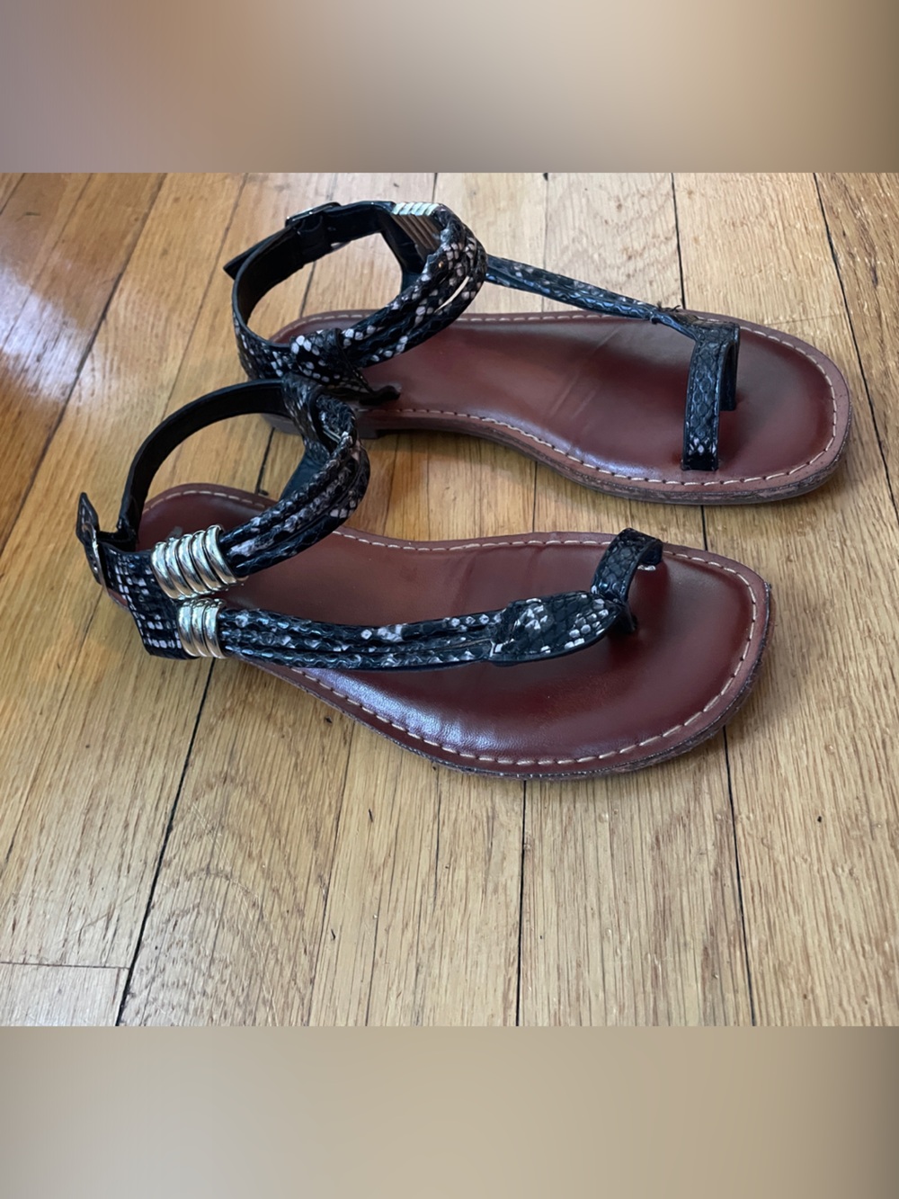MIA Black snake skin pattern roman-type Sandal with silver Accents